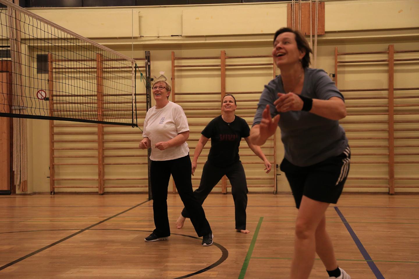 Volleyball Freizeitgruppe Frauen Bild 1