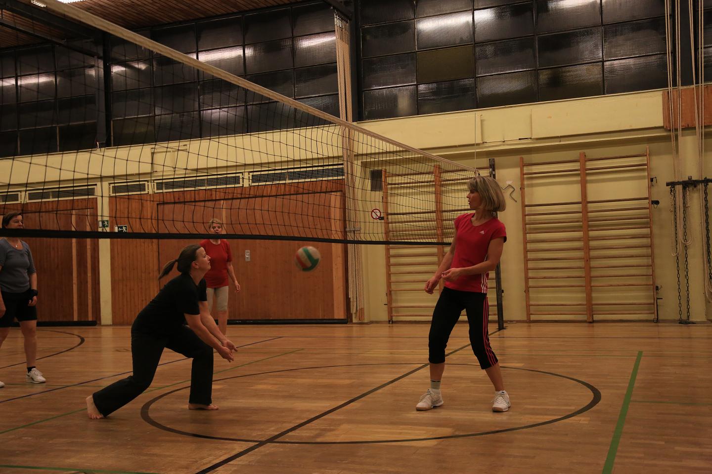 Volleyball Freizeitgruppe Frauen Bild 2