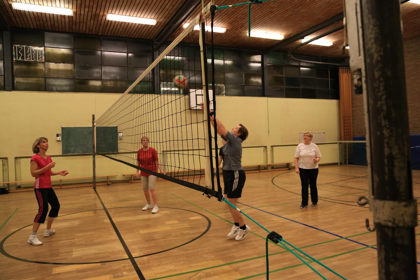 Volleyball Freizeitgruppe Frauen Bild 3